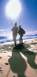 Bermagui Motor Inn - Accommodation Newcastle 5