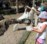 BIG4 Bairnsdale Holiday Park - Accommodation Newcastle