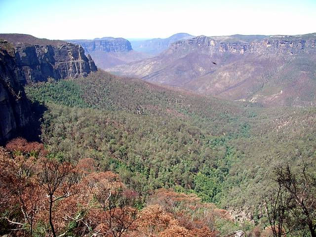  Accommodation Newcastle