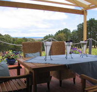 Blue Grape Vineyard Accommodation - Accommodation Newcastle