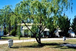 Thorndale QLD Accommodation Newcastle