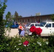 Boerbuck Country Motel  Host Farm - Accommodation Newcastle