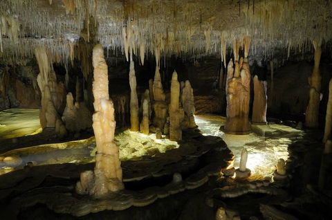 Buchan Caves Reserve - Accommodation Newcastle 3