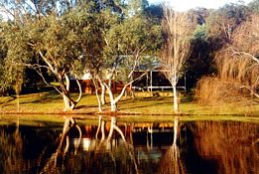 Bushy Lake Chalets - Accommodation Newcastle 1