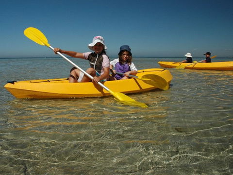 Ceduna Shelly Beach Caravan Park - Accommodation Newcastle 4