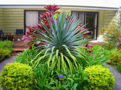 Channers On Norfolk - Accommodation Newcastle 5