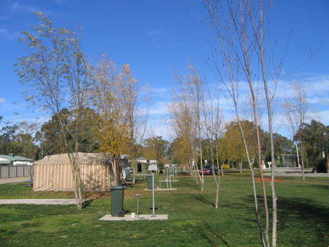 Cobram Oasis Tourist Park - Accommodation Newcastle 1