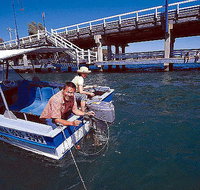 Comfort Inn Mandurah - Accommodation Newcastle