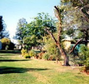 Condamine River Caravan Park - Accommodation Newcastle