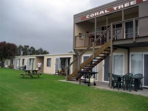 Coral Tree Lodge Tourist Park - Accommodation Newcastle 3