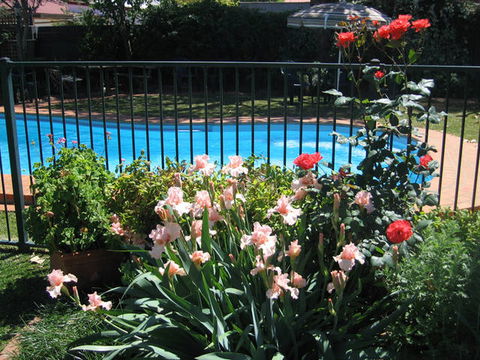Country Apartments - Accommodation Newcastle 4