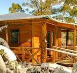 Cradle Chalet - Accommodation Newcastle