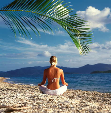 Daydream Island QLD Accommodation Newcastle
