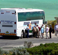 Palmers Leisure Tours - Accommodation Newcastle