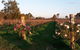 Emma’s Cottage Vineyard - thumb 5