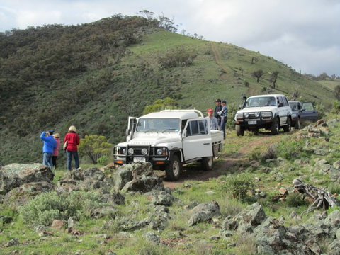 Catninga Farm Stay B&B - Accommodation Newcastle 0