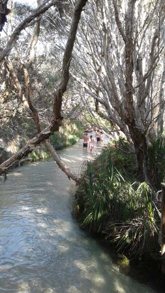 Inskip QLD Accommodation Newcastle