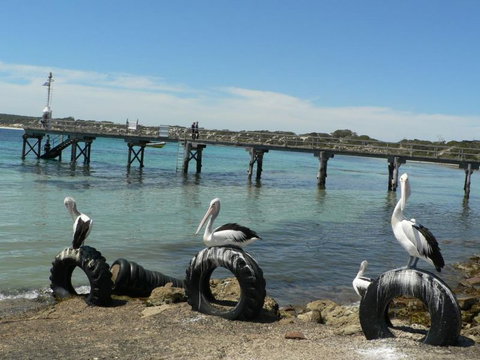 Fareview Beach House - Accommodation Newcastle 0