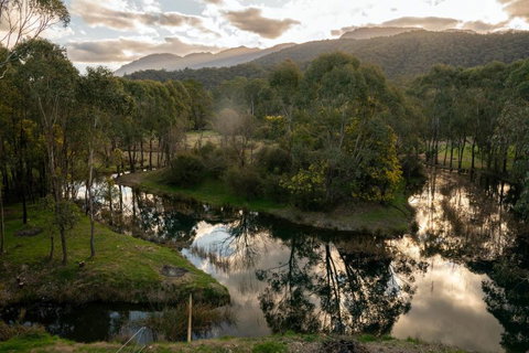 Owner - Accommodation Newcastle 2