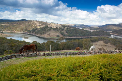 Eagle View Escape - Accommodation Newcastle 0