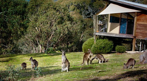 Eagle View Escape - Accommodation Newcastle 3