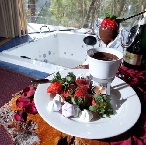 Eagle View Escape - Accommodation Newcastle 4