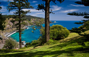 Forrester Court Cliff Top Cottages - thumb 7