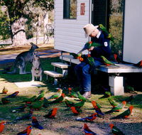Inland Waters Holiday Parks Burrinjuck - Accommodation Newcastle