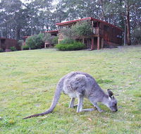 Jenolan Caves Cottages - Accommodation Newcastle