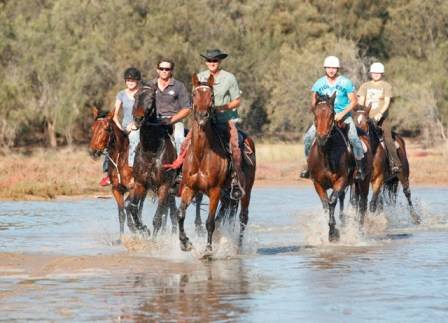 Kalbarri Palm Resort Golden Chain - Accommodation Newcastle 4