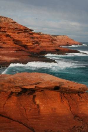 Kalbarri Palm Resort Golden Chain - Accommodation Newcastle 7