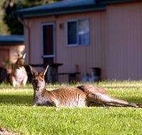 Kalgan River Chalets and Caravan Park