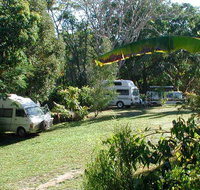 Kuranda Rainforest Accommodation Park - Accommodation Newcastle