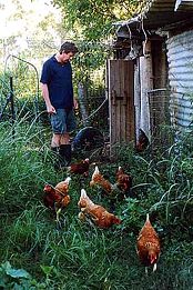 Lagoon Pocket Bed & Breakfast - Accommodation Newcastle 1