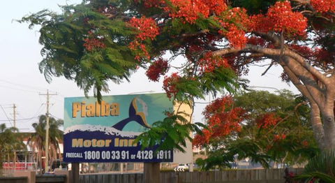 Pialba Motor Inn - Accommodation Newcastle 1