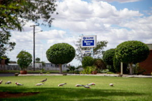 Quilpie Motor Inn - Accommodation Newcastle 2