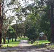 Moe Gardens Caravan Park - Accommodation Newcastle
