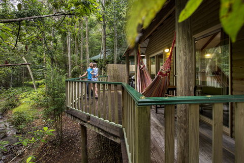Narrows Escape Rainforest Retreat - Accommodation Newcastle 2