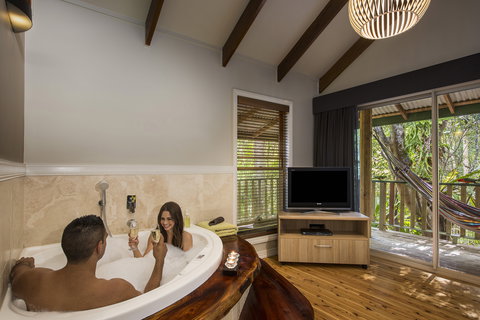 Narrows Escape Rainforest Retreat - Accommodation Newcastle 8