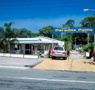 Paradise Palms Carey Bay - Accommodation Newcastle