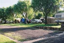Poplar Caravan Park - Accommodation Newcastle 3