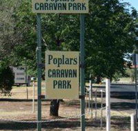 Poplars Caravan Park - Accommodation Newcastle