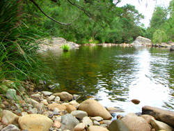 Riverwood Downs Mountain Valley Resort - Accommodation Newcastle 7
