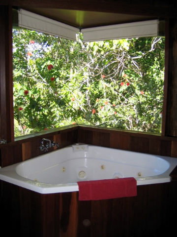 Rose Gums Wilderness Retreat - Accommodation Newcastle 3