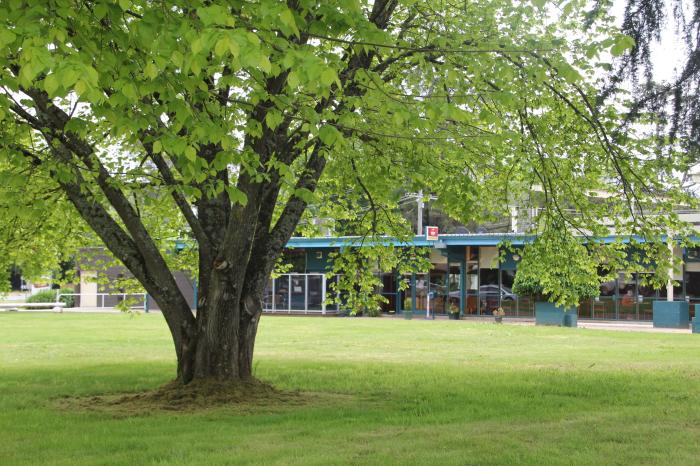 Thornton VIC Accommodation Newcastle