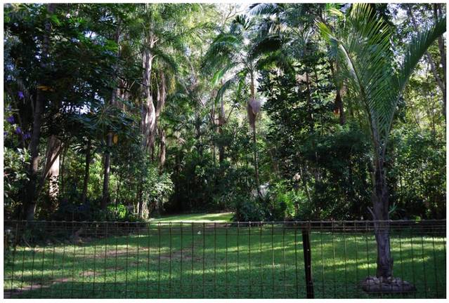 Advancetown QLD Accommodation Newcastle