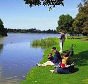 Sale Motor Village - Accommodation Newcastle