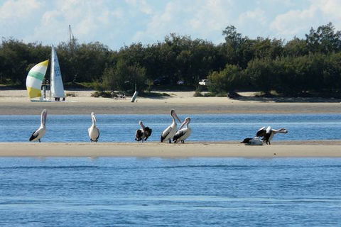 Sandcastles On The Broadwater - Accommodation Newcastle 4