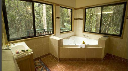 Springbrook QLD Accommodation Newcastle