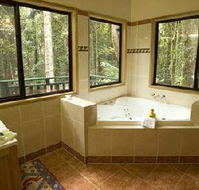 Springbrook Lyrebird Retreat - Accommodation Newcastle